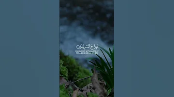 فإ ن مع الع سر ي سر ا أحمد البشر 