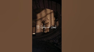 تلاوة هادئة تريح القلوب بصوت الشيخ محمد صديق المنشاوي🥹#الراحة_النفسية #القرآن #تلاوة #القرآن_الكريم