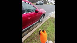 Todays Walk And Finding