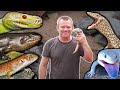 Keepers collections episode 5  joe ball