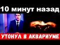 10 минут назад / утонул в аквариуме./ Чп в мире шоу бизнеса .