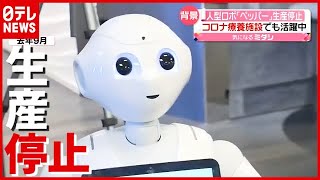 背景は？ 人型ロボット「ペッパー」生産停止…コロナ療養施設でも活躍中（2021年6月29日放送「news every.」より）
