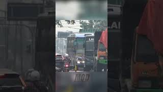 Sugeng Rahayu Ngeblong Bikin Melongo