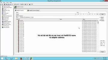 Lab 15   Basic Network Troubleshooting Using MegaPing