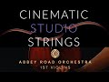 Aro first violins vs cinematic studio strings short articulations comparison