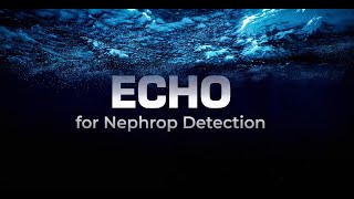 Echo for Prawn Detection