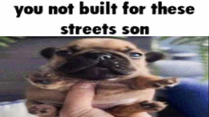 Roses are red, You might want to run... | r/Boottoobig