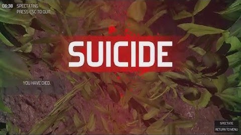 Annoying Bug - The Culling