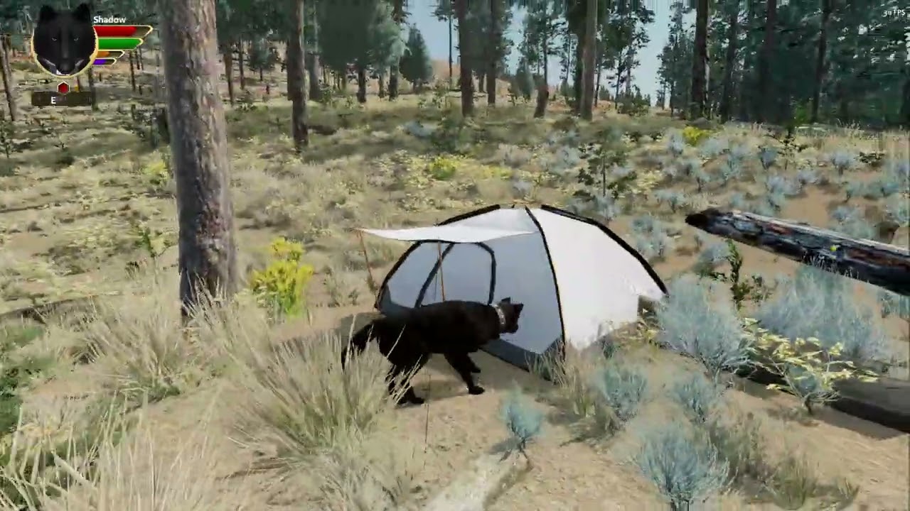 The tent in Amethyst Mountain achievement: Where to find