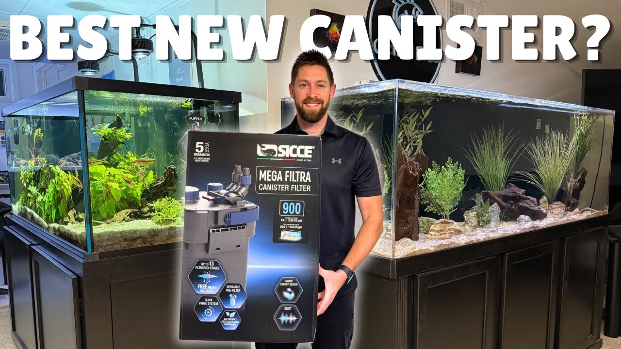 НОВЫЙ канистровый фильтр Sicce Mega Filtra | Распаковка, настройка и первый взгляд!