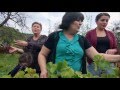 Georgian Folk Song Orovela By Leila Legashvili From The Film Table Songs Of Kakheti 