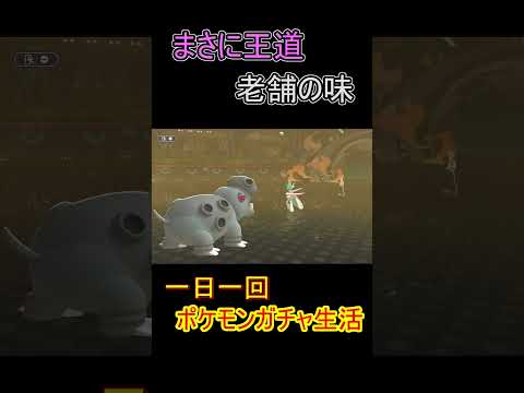 12日目　カバルドン【ポケモンチャンピオンズ】 #ポケモン#shorts #チャンピオンズ#カバルドン