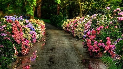 سورة يس كامله بصوت جميل جدا جدا هدوء | ارح قلبك مع القران الكريم