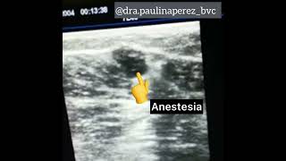 Paulina Pérez Ramírez-15