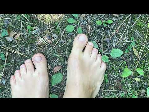 Walking barefoot in the forest 🌲👣🌲