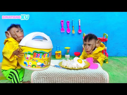 Video: Apakah perintah 3 ekor monyet yang bijak itu?
