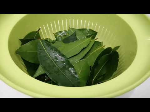 How to dry bay leaves at home