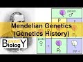 Mendelian Genetics (Genetics History)