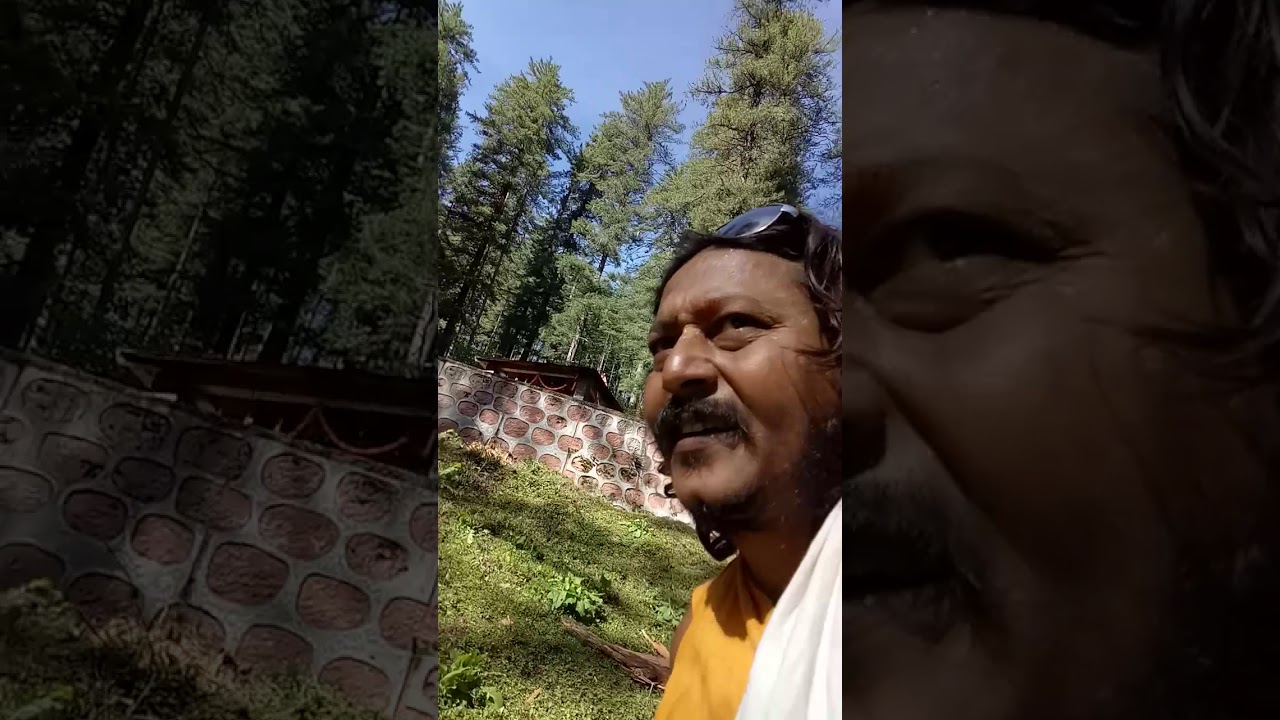 हिमालय में प्रकट अपने आप बन रहे भविष्य बद्री के दुर्लभ दर्शन