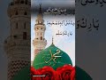 #justviralnow #muhammadﷺ #whatsappstatus #tiktokvideo #ye_kehna_aqaa_bohat_say_aashiq