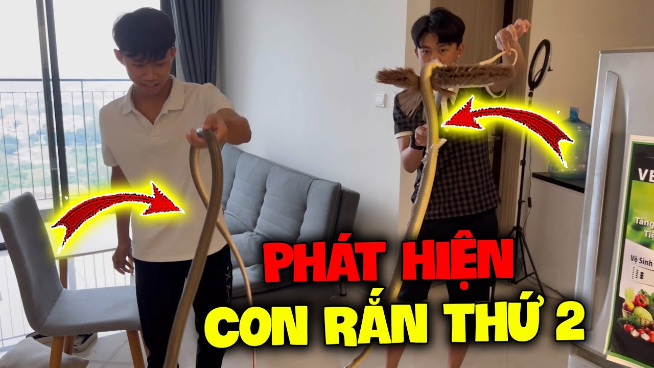 Vlog | Quý11N Không Thể Tin Con Rắn Thứ 2 Xuất Hiện Trong Phòng Team ...