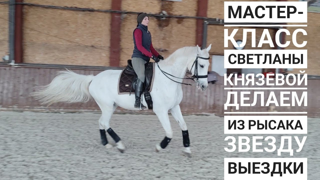 Мастер- класс МСМК по выездке Светланы Князевой. Часть 1. КСК 