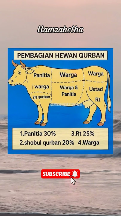 Pembagian hewan qurban #memes #lucu #funny