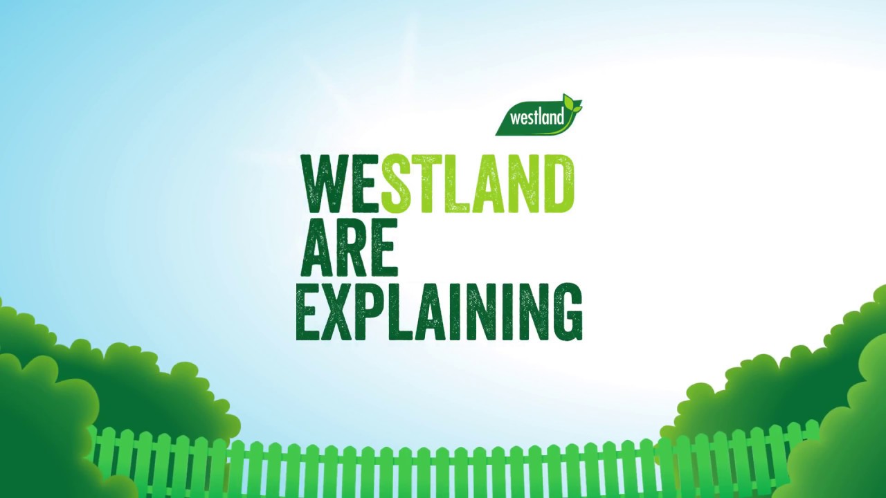 Westland SafeLawn® How our lawn feed works YouTube