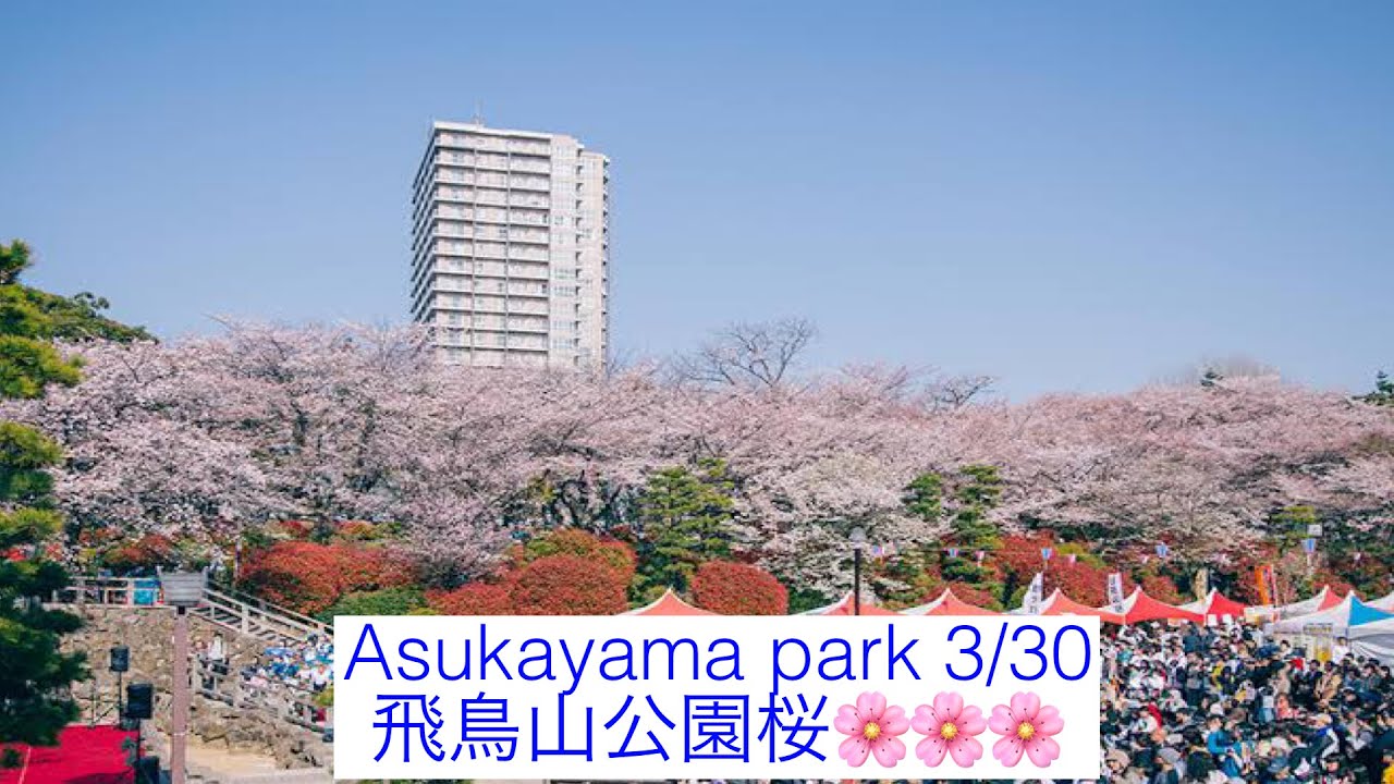 3/30🌸oji cherry blossomupdates:asukayama park//飛鳥山公園桜花見🌸🌸🌸 // dirghasaji vlog