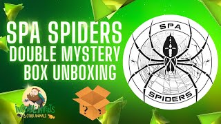 Spa Spiders Double Mystery Box Unboxing #mysterybox #unboxing #tarantula