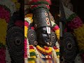 గోవిందా గోవిందా 🙏