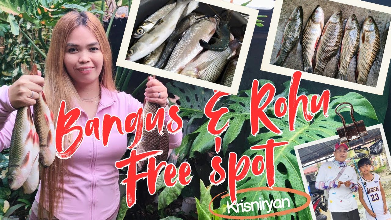 May BANGUS at ROHU FREE FISHING SPOT sa BULACAN Dampol Pulilan to Bulusan Calumpit punta na!