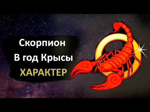 Скорпион в год Крысы - характер