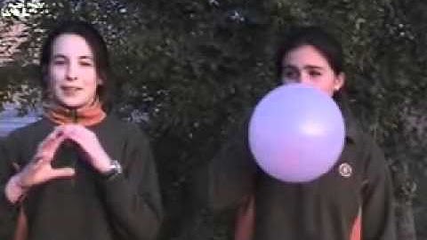 Video Elastic Force 6th 2010