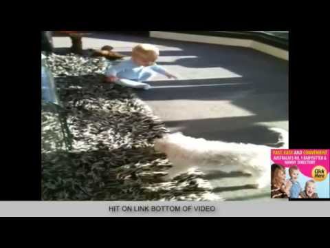 video-billboards-,-local-google-search,-babysitter-australia