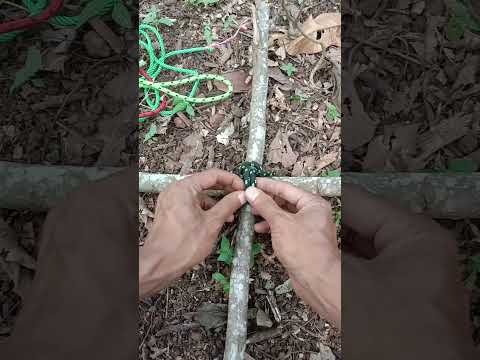 A Common Lashing