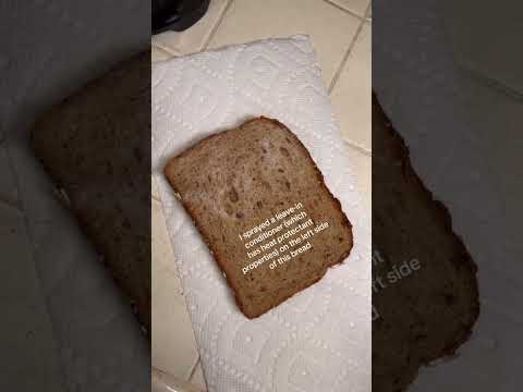 Heat Protectant Test