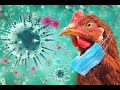أنفلونزا الطيور لدى البشر   خطر جائحة م ميتة