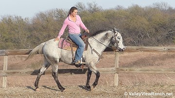 Frosty***For info, price, etc., go to our website*** Valley View Ranch