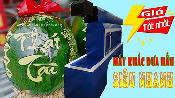 Khắc Dưa Hấu | Khắc Chữ Trên Dưa Hấu | Dừa Chưng Tết | Cnc Laser Pro