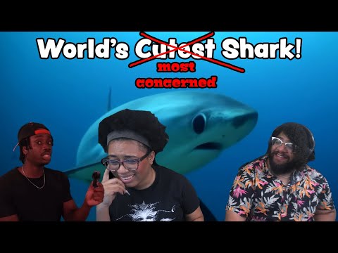 The Cutest Sharks In The Ocean! | Casual Geographic Reaction