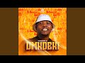 Isibhengu Bhengu (feat. Mvelodanature & Noslu)