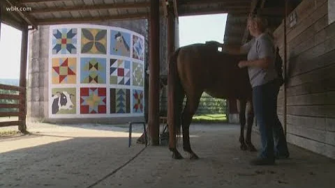 Barn quilt displays family history on silo