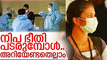 നിപ തടയാം.. അറിയേണ്ടതെല്ലാം I About nipah fever