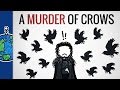 Why is a group of crows called a murder