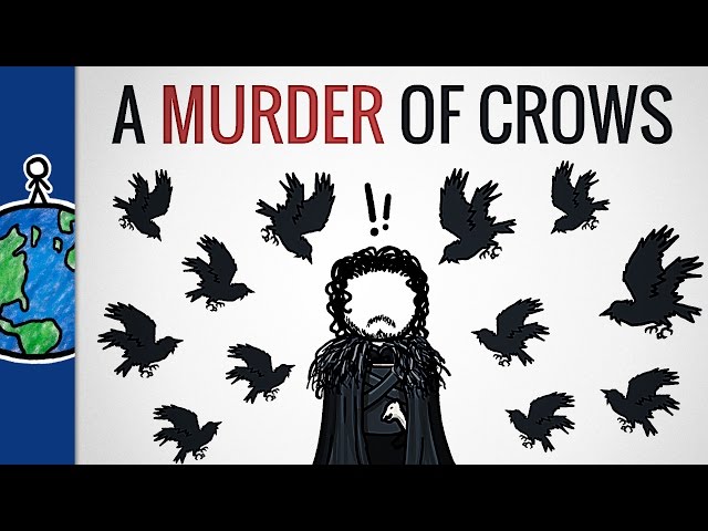 Why Is A Group Of Crows Called A “Murder”? class=