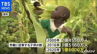 ＩＬＯ 労働する子どもが２０年ぶりに増加