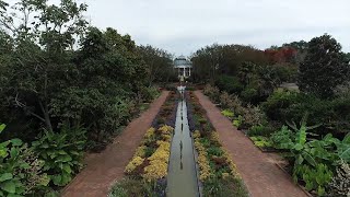 Soaring through Daniel Stowe Botanical Garden