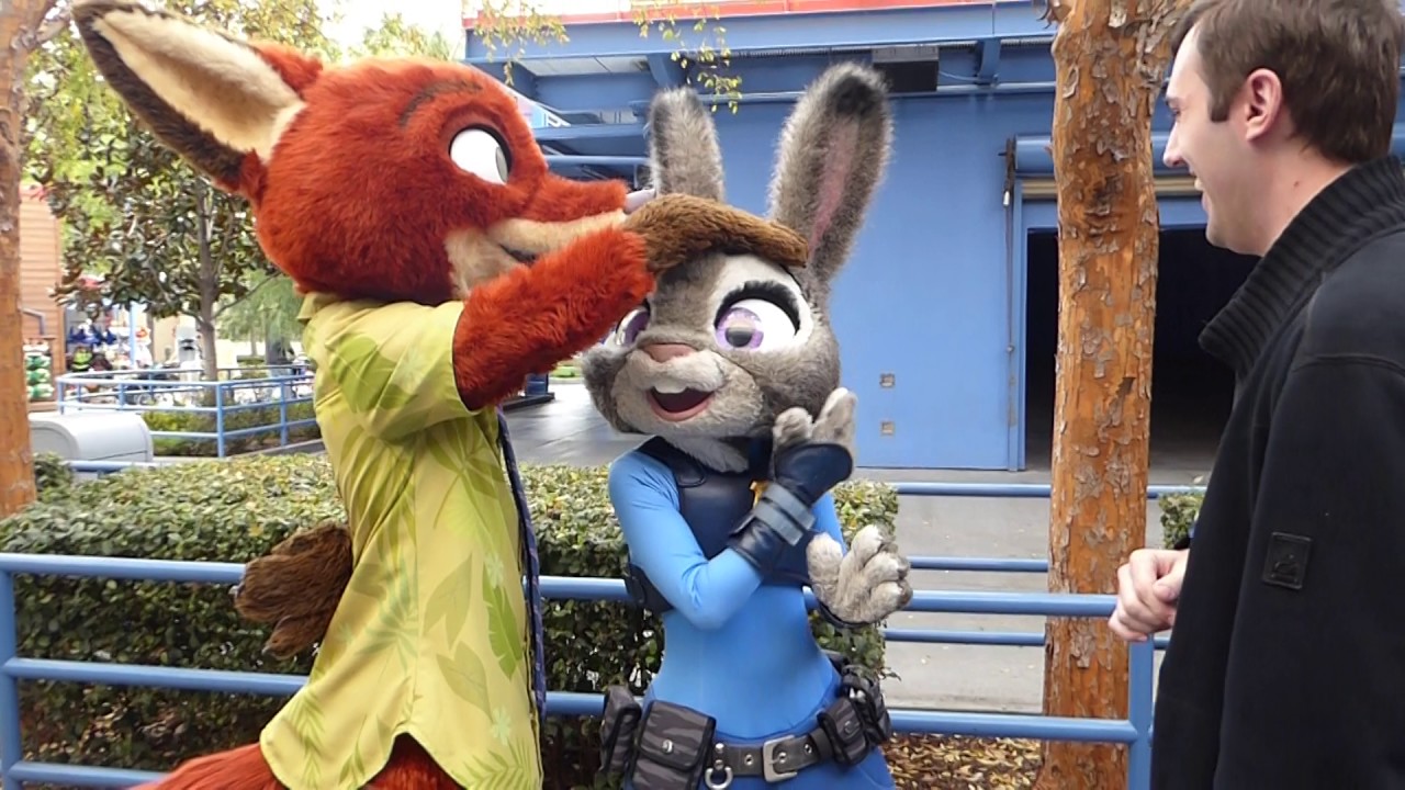 Asking about Fluffy things and the DMV