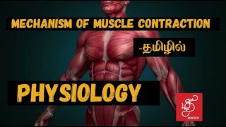 MECHANISM OF MUSCLE CONTRACTION IN TAMILPHYSIOLOGY